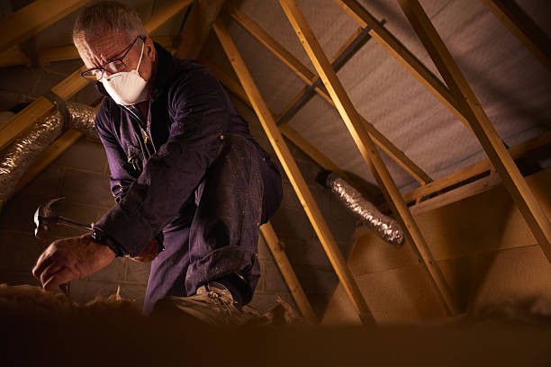 Best Geographic-Specific Insulation Services in Hansen, ID